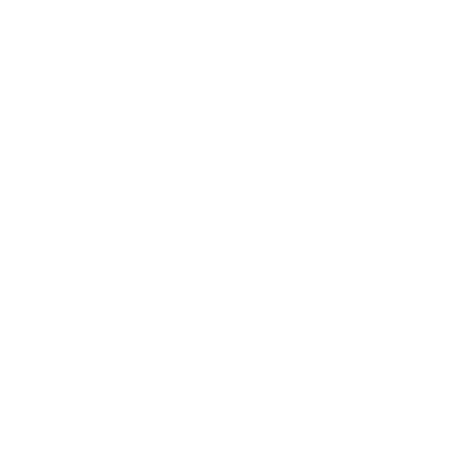 Skies & Trees