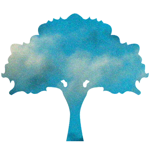 Skies & Trees